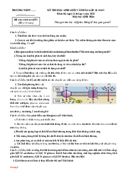 Đề thi HSG Sinh 10 cấp trường 2022-2023 (có đáp án)