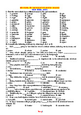 Đề Cương Ôn Tập Cuối Học Kỳ 1 Tiếng Anh 8 Global Success 2025-2026 Có Đáp Án