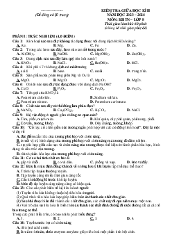 Đề thi giữa học kì 2 môn Khoa học tự nhiên 8 năm 2023 - 2024 sách KNTT - Đề 4
