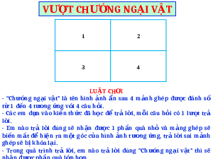 Bài giảng điện tử Địa Lý 8 Bài 11 Chân trời sáng tạo: Đặc điểm chung và sự phân bố lớp phủ thổ nhưỡng