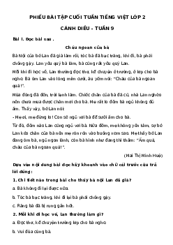 Phiếu Bài tập cuối tuần tiếng Việt lớp 2 học kì 1 |Cánh diều Tuần 9 cơ bản
