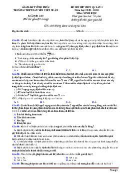 Đề thi tốt nghiệp THPTQG năm 2019-2020 Trường Nguyễn Viết Xuân lần 2 môn sinh học (đề 102, có đáp án)
