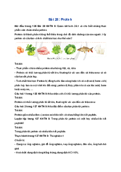 Giải Khoa học tự nhiên 9 Cánh diều Bài 28: Protein