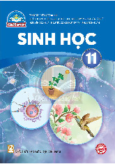 Sách giáo khoa Sinh học 11 - Chân trời sáng tạo