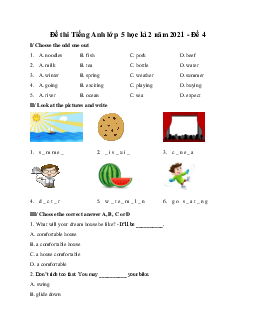 Đề thi Tiếng Anh lớp 5 học kì 2 năm 2021 - Đề 4