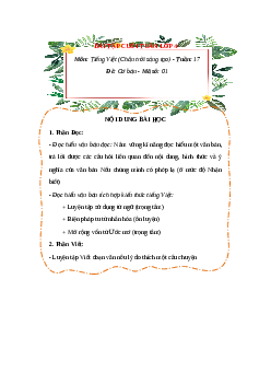 Bài tập cuối tuần Tiếng Việt lớp 4 Chân trời sáng tạo Tuần 17