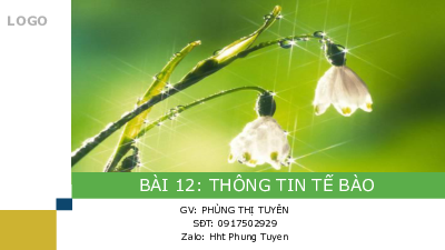Bài 12: Thông tin tế bào | Bài giảng PowerPoint môn Sinh học 10 | Cánh diều