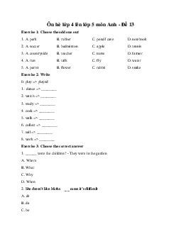 Ôn hè lớp 4 lên lớp 5 môn Anh - Đề 13