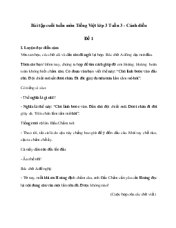 Bài tập cuối tuần lớp 3 môn Tiếng Việt Cánh diều - Tuần 3