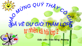 Giáo án điện tử Tự nhiên và Xã hội 2 Bài 5 Kết nối tri thức: Ôn tập chủ đề Gia đình