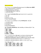 HÓA SINH ENZYM: Câu hỏi và đáp án về enzym và nucleotid môn Hoá sinh | Trường Đại Học Y Dược Thái Bình