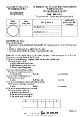 bài giảng vồ môn tiếng anh lớp 12 thpt hsg