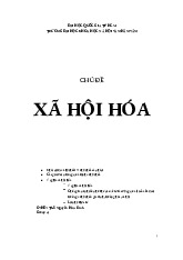 Tiểu luận môn Xã hội học đại cương    - trường đại học Khoa học xã hội và nhân văn – Đại học quốc gia Thành phố Hồ Chí Minh.