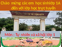 Giáo án điện tử Tự nhiên và xã hội 1 bài 17 Chân trời sáng tạo : Các bộ phận của cây