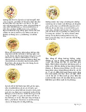 Ý Nghĩa Lá Bài TeaLeaf