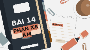 Bài giảng điện tử môn Khoa học tự nhiên 7  Vật Lí Bài 14: Phản xạ âm, chống ô nhiễm tiếng ồn | Kết nối tri thức