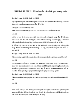 Giải Sinh 10 Bài 11: Vận chuyển các chất qua màng sinh chất | Chân trời sáng tạo