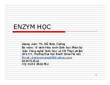 Enzyme học | Bài giảng Vi sinh - Hóa sinh - Sinh học Phân tử