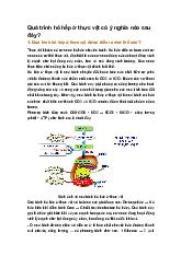 Quá trình hô hấp ở thực vật có ý nghĩa nào sau đây?