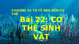 Giáo án điện tử Khoa học tự nhiên 6 bài 22 Chân trời sáng tạo : Cơ thể sinh vật