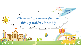 Giáo án điện tử Tự nhiên và Xã hội 2 Bài 5 Kết nối tri thức: Ôn tập chủ đề Gia đình