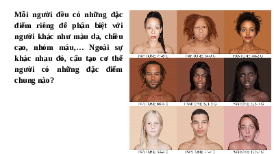 Giáo án điện tử Khoa học tự nhiên 8 Bài 30 Kết nối tri thức: Khái quát về cơ thể người