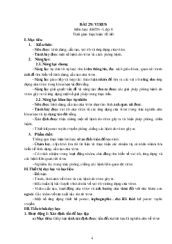 Giáo án Khoa học tự nhiên 6 sách Kết nối tri thức với cuộc sống Bài 29