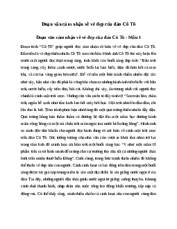 Văn mẫu lớp 6: Đoạn văn cảm nhận về vẻ đẹp của đảo Cô Tô (6 mẫu) | Kết nối tri thức