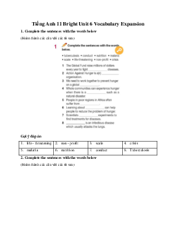 Giải Tiếng Anh 11 Unit 6 Vocabulary Expansion | Bright