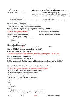 Đề thi học kì 2 môn Tin học 10 năm 2022 - 2023 sách Cánh diều | đề 2