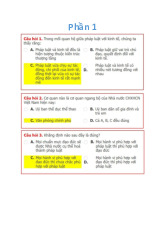 Đề Cương Pháp Luật Đại Cương - Tài Liệu Ôn Tập Chi Tiết. Môn Pháp luật đại cương | Đại học Công nghệ Thành phố Hồ Chí Minh