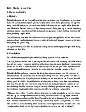 Bài 3: Nguyên Tắc Phát Triển - Khái Niệm và Ứng Dụng Thực Tiễn