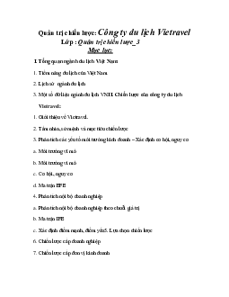 Tài liệu về phân tích chiến lược kinh doanh của công ty du lịch Vietravel | Đại học Thăng Long
