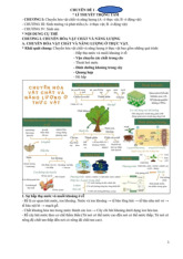 Tổng hợp lý thuyết về quá trình sinh trưởng và phát triển thực vật  | Lý thuyết sinh trưởng và phát triển thực vật | Trường Đại học khoa học Tự nhiên