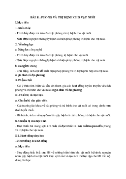 Giáo án Bài 11: Phòng và trị bệnh cho vật nuôi Công nghệ 7 | Kết nối tri thức