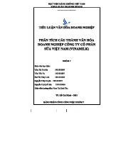 Tiểu luận Môn Văn Hóa Doanh Nghiệp: Phân Tích Văn Hóa Vinamilk