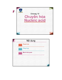 Bài giảng môn Hóa đại cương về "Chuyển hóa Nucleic acid"