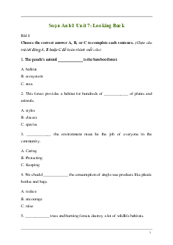 Giải Tiếng Anh 8 Unit 7: Looking Back | Kết nối tri thức