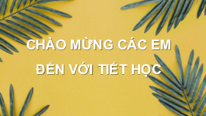 Bài giảng điện tử môn Toán 7 C3 Bài 1. Hình hộp chữ nhật. Hình lập phương | Cánh diều