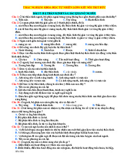 Trắc nghiệm KHTN 8 Kết nối tri thức bài 37 Hệ thần kinh và giác quan ở người (có đáp án)