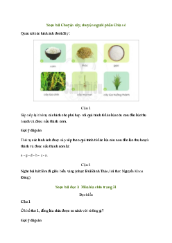 Soạn bài Chuyện cây, chuyện người (trang 30) | Tiếng việt 2 Sách Cánh diều