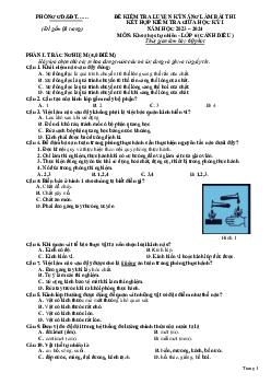 Đề thi giữa học kì 1 môn Khoa học tự nhiên 6 năm 2023 - 2024 sách Cánh diều | Đề 6