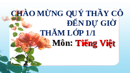 Giáo án điện tử Tiếng việt 1 bài 1 Cánh diều: Học vần: p, ph
