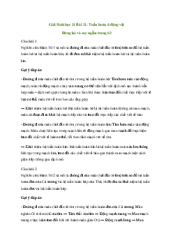 Giải Sinh học 11 Bài 10: Tuần hoàn ở động vật| Kết nối tri thức