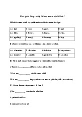 Bài tập ôn hè Tiếng Anh lớp 8 lên lớp 9 Global Success năm 2025 số 1