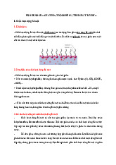 Ứng dụng của chất hoạt động bề mặt đến chất tẩy rửa | Lí thuyết Hoá đại cương | Trường Đại học khoa học Tự nhiên