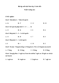 Phiếu bài tập cuối tuần lớp 2 nâng cao sách Cánh Diều - Tuần 5