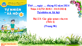 Giáo án điện tử Tự nhiên và xã hội 1 bài 23 Chân trời sáng tạo : Các giác quan của em
