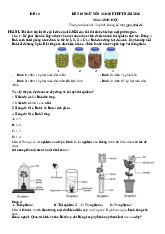 Đề thi thử tốt nghiệp THPT 2025 môn Sinh học bám sát đề minh họa - Đề 10