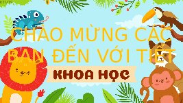 Giáo án điện tử Khoa học 4 Bài 16 Chân trời sáng tạo: Nhu cầu sống của động vật